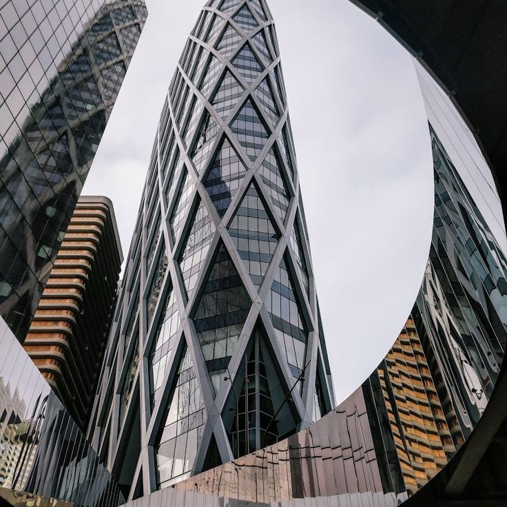 Family routine and school logistics in Springfield